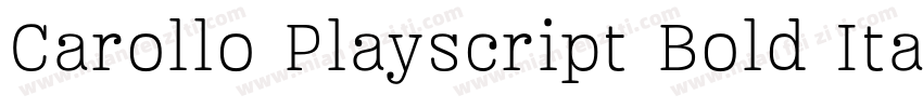 Carollo Playscript Bold ItalicVersi字体转换
